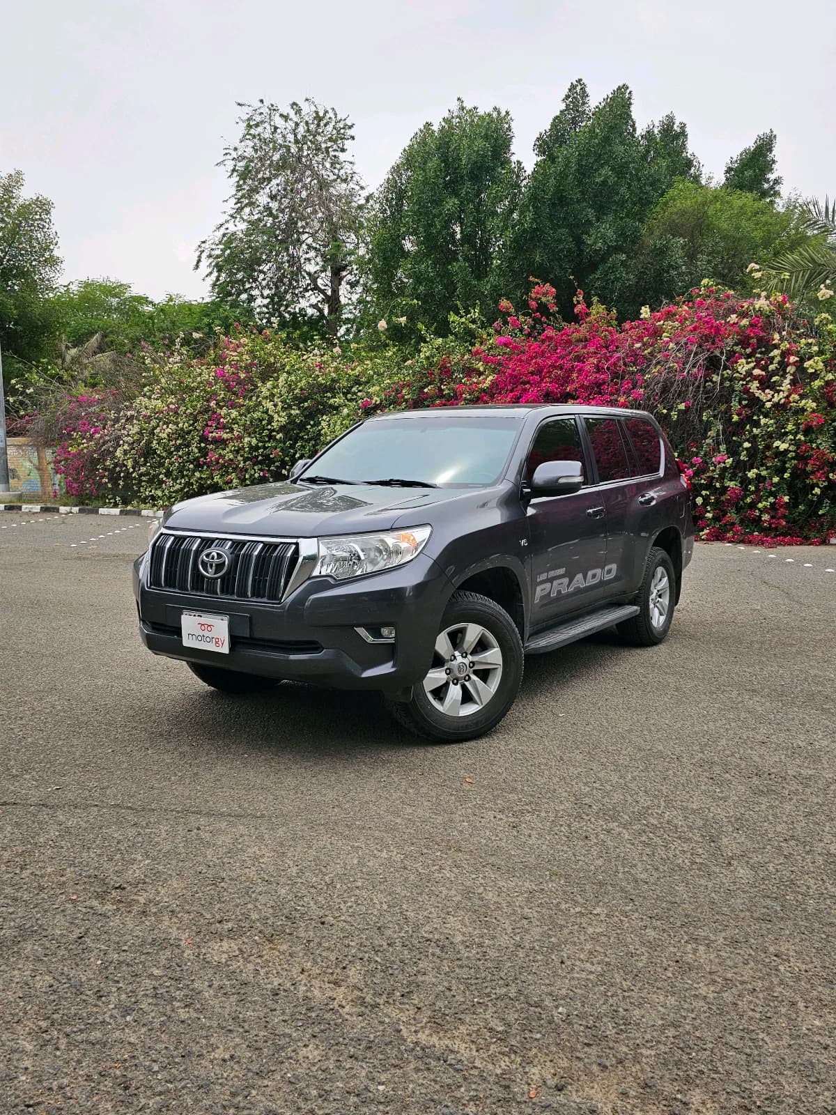Toyota Prado